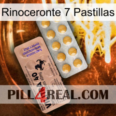 Rhino 7 Pills 41